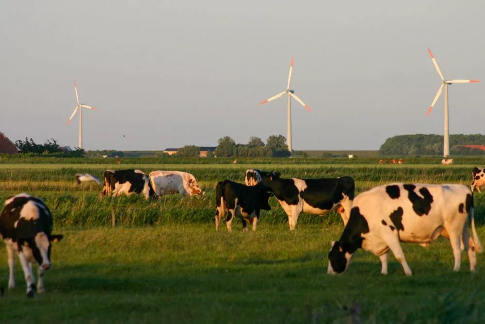 Der Pellwormer Leuchtturm bietet einen beeindruckenden Blick über das Wattenmeer und die weite Nordseelandschaft.