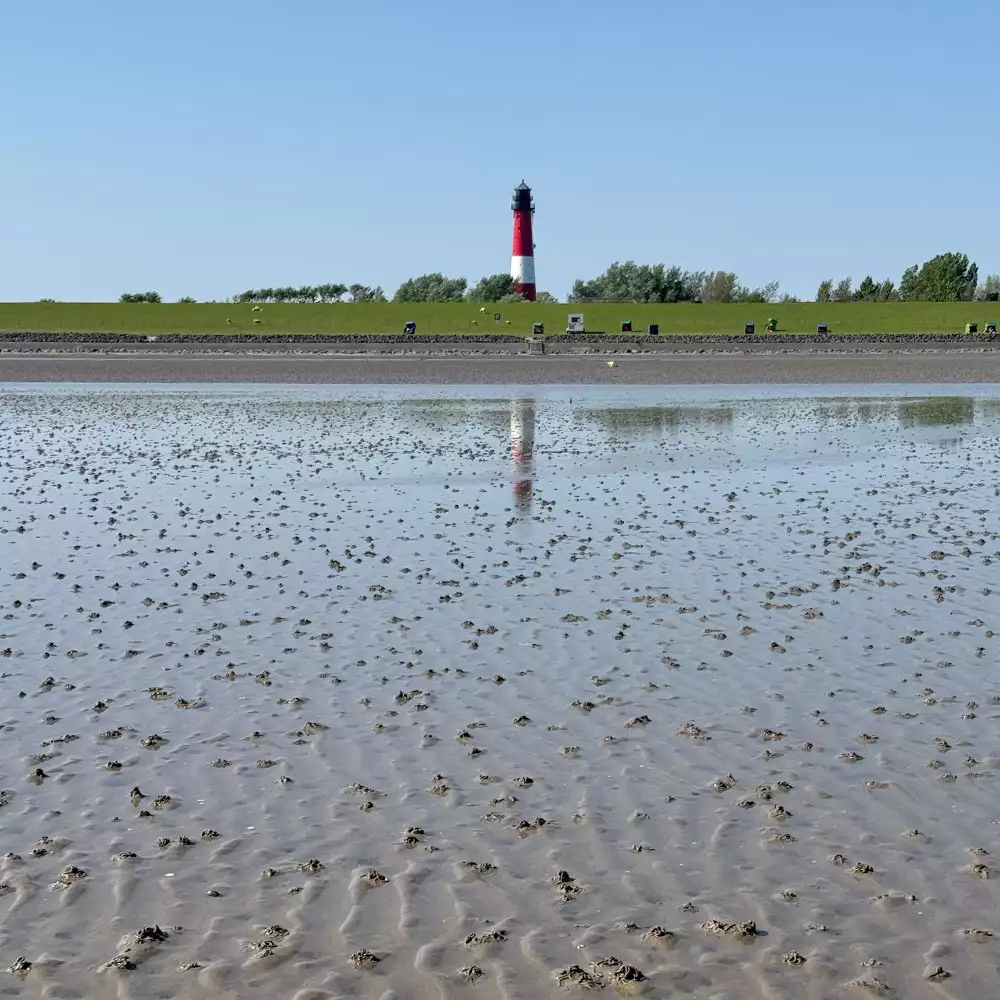 Wattenmeer bei Ebbe am Pellwormer Leuchtturm Strand