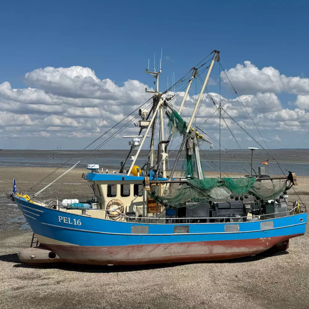 Schiffsausflüge zur nordfriesischen Insel- und Halligwelt