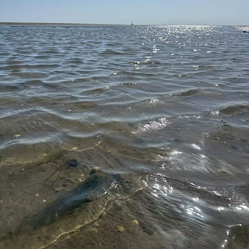 Endlose Weite und freier Blick über die Nordsee am Leuchtturmstrand