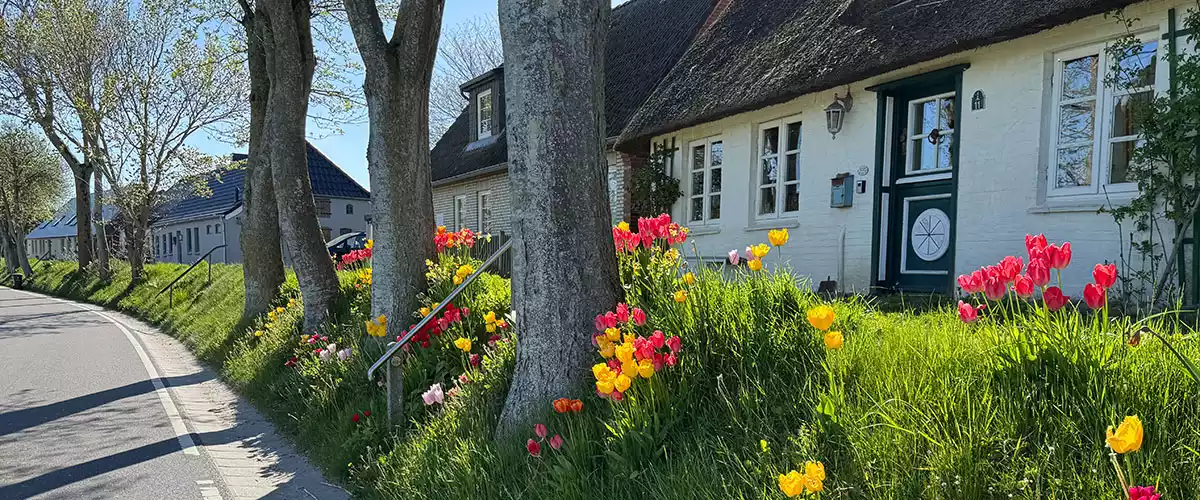 Verträumte Straßen mit kleinen Reetdachkaten und blühenden Wiesen