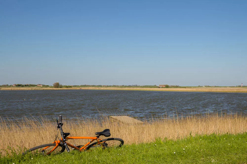 Fahrrad am Angelteich in der grünen Landschaft von Pellworm