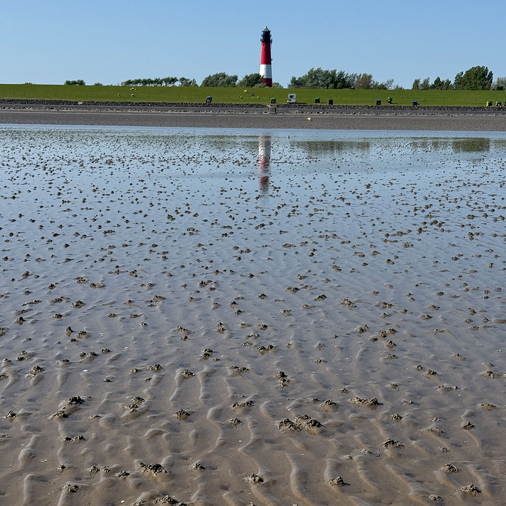 Das Watt vor Pellworm, am Leuchtturmstrand, wo geführte Wattwanderungen beginnen.
